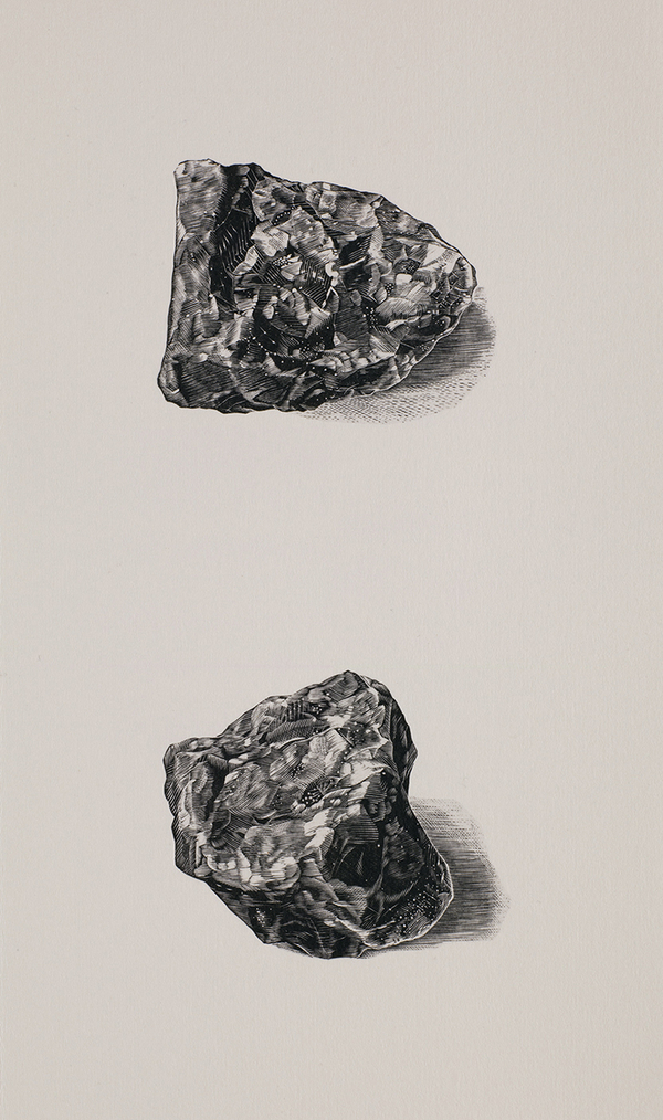 Shoko Bekki, “Cloud Chamber” (part)  Wood engraving, bookbinding, 2020