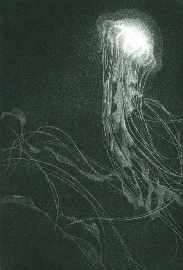 Maeshiro Riko,<i>Heart Star,</i> aquatint, 2022