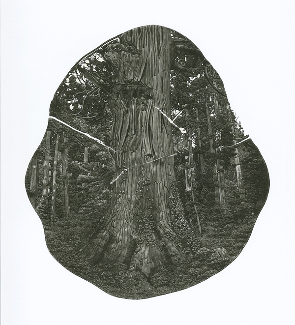 Ryota Saito, “Thousand-Year Tree”  Wood engraving, 2016