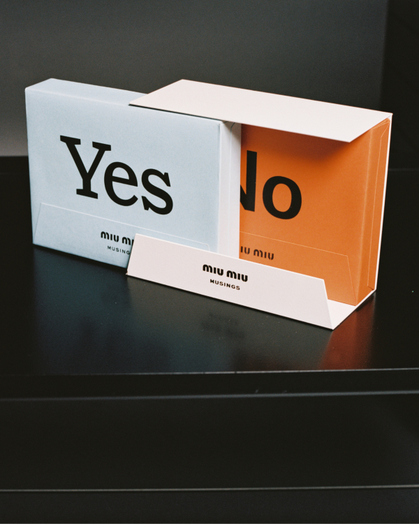 Miu Miu Musings  　Voting blocks 2019　 Photograph by Joyce Ng