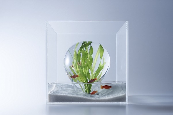 waterscape（photo：Masayuki Hayashi）