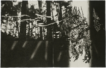 《転位 ’11―光―I》2011年