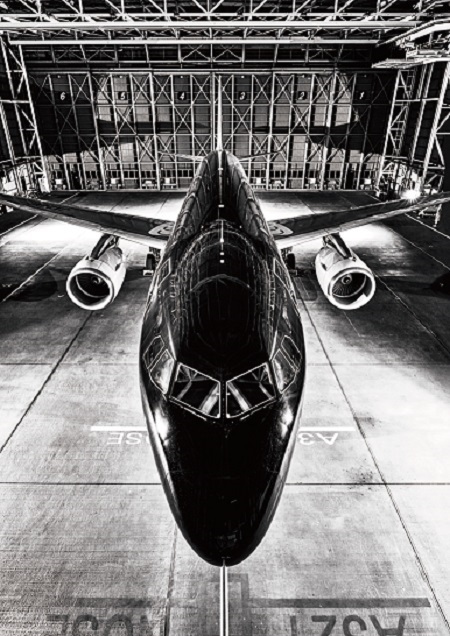 <div style='text-align:left;'>「輝く人の、STARFLYER」</div>
