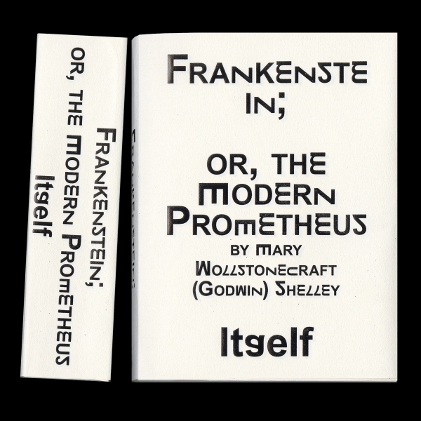 【TDC賞】Han Gao「Frankenstein Itself」